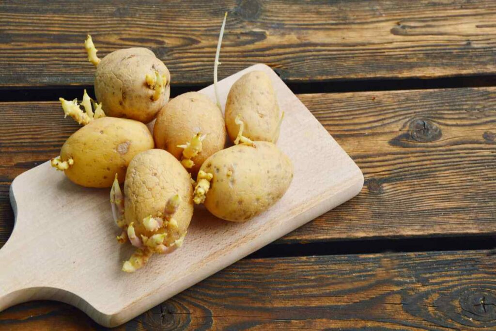 Sprouted Potatoes: Are They Safe to Eat?